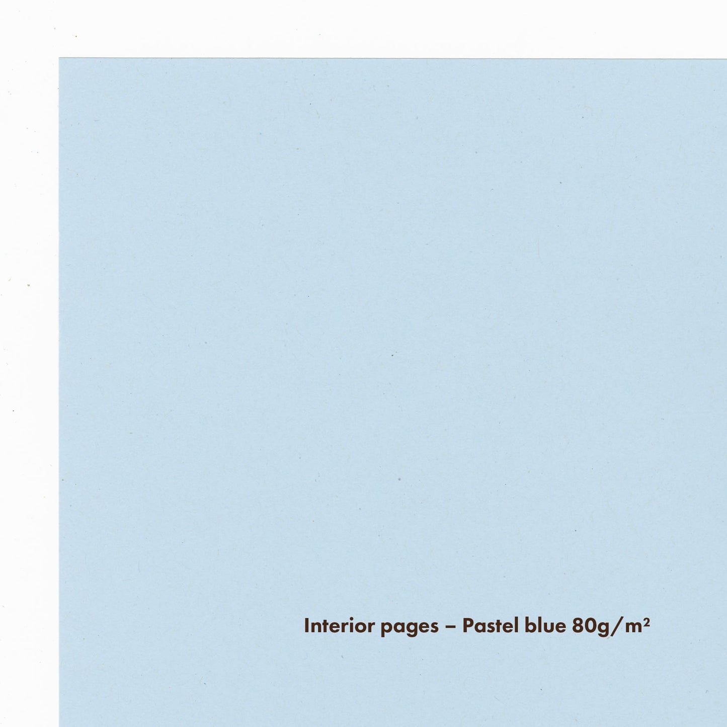 Pastel blue interior blank pages.