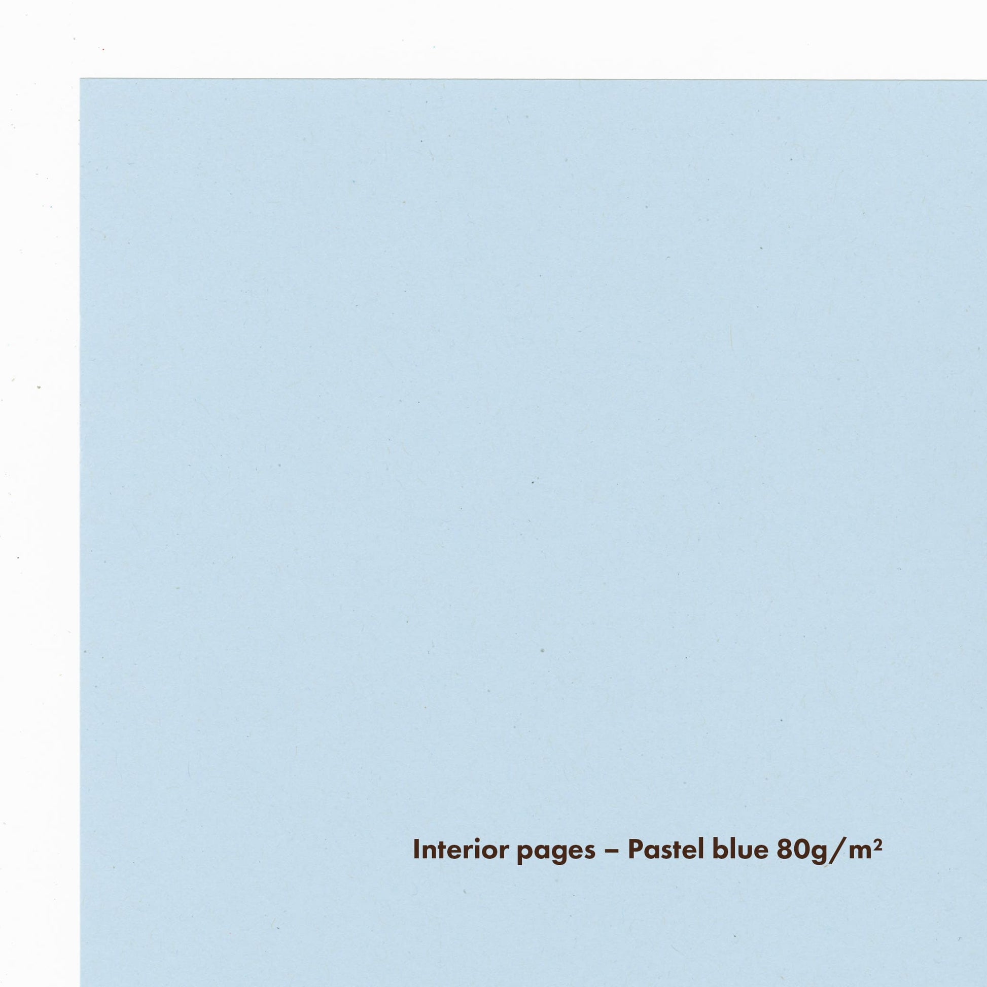 Pastel blue interior blank pages.