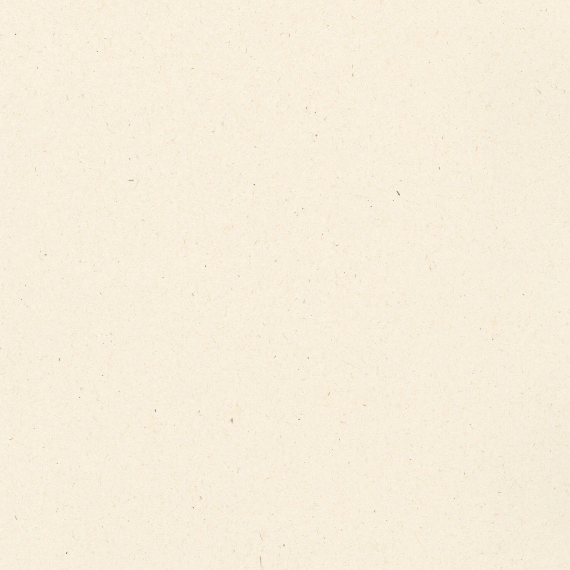 Close-up of textured pulp-colored paper with scattered tiny specks throughout.