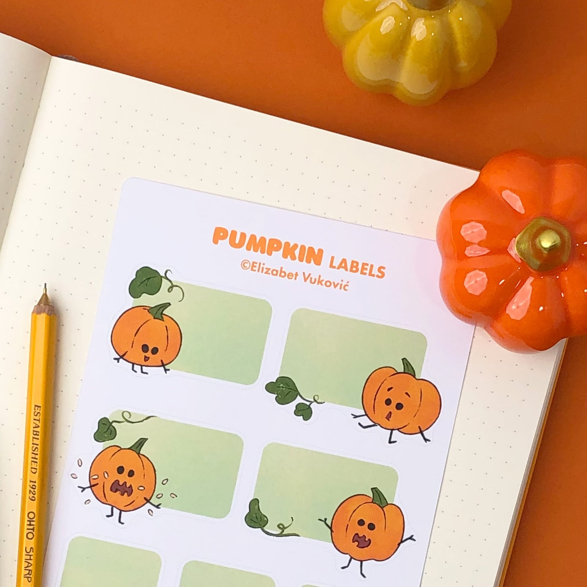 Whimsical pumpkins notebook labels.