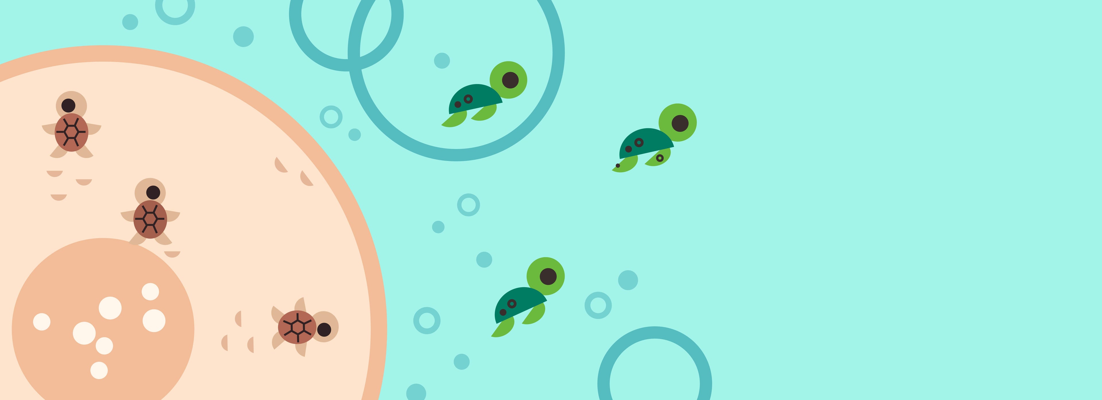 Sea turtles hatched modern kids illustration.